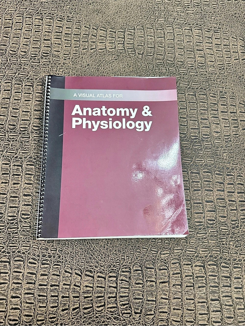 McGraw Hill Visual Atlas for Anatomy & Physiology 6th Edition Spiral Bound